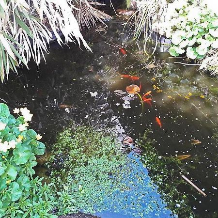 Haus Zur Bienenweide Apartment Schomberg Bagian luar foto