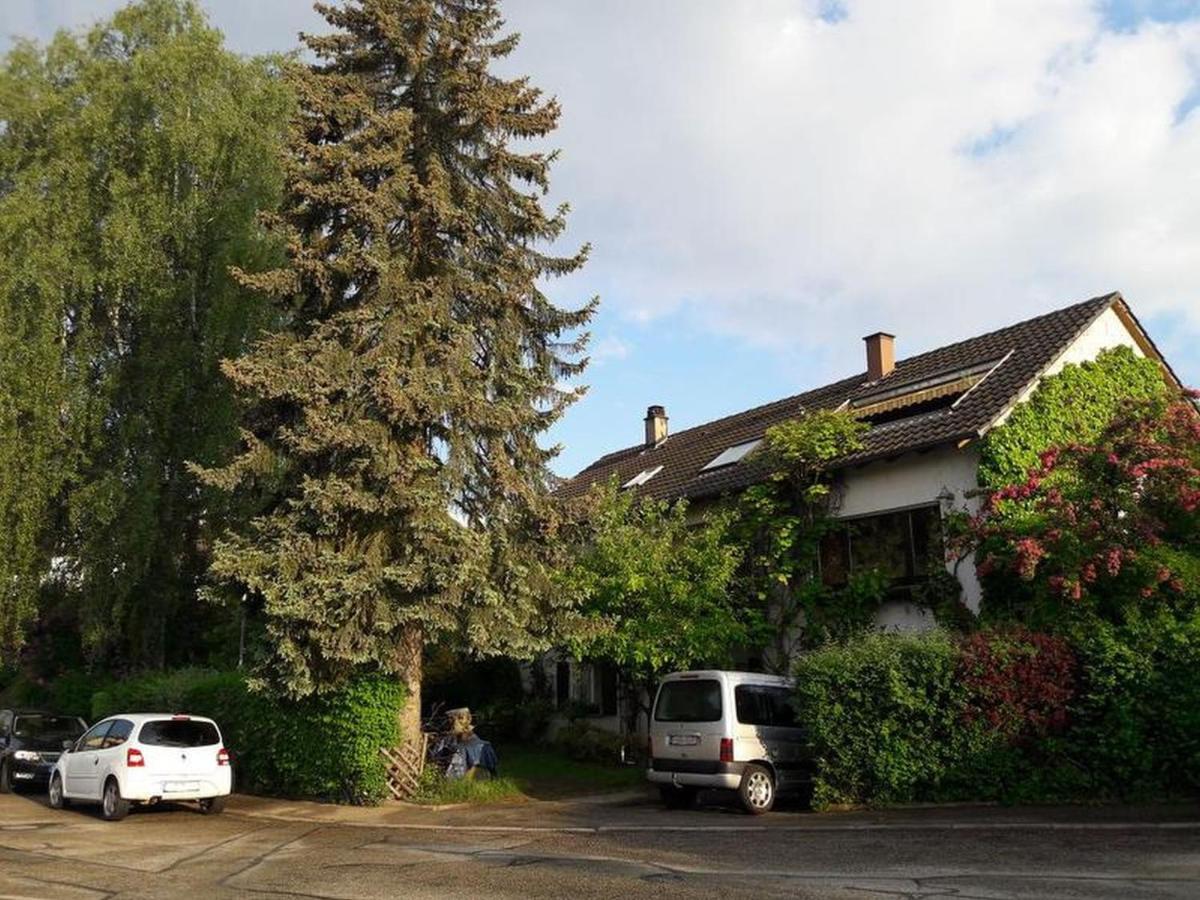 Haus Zur Bienenweide Apartment Schomberg Bagian luar foto