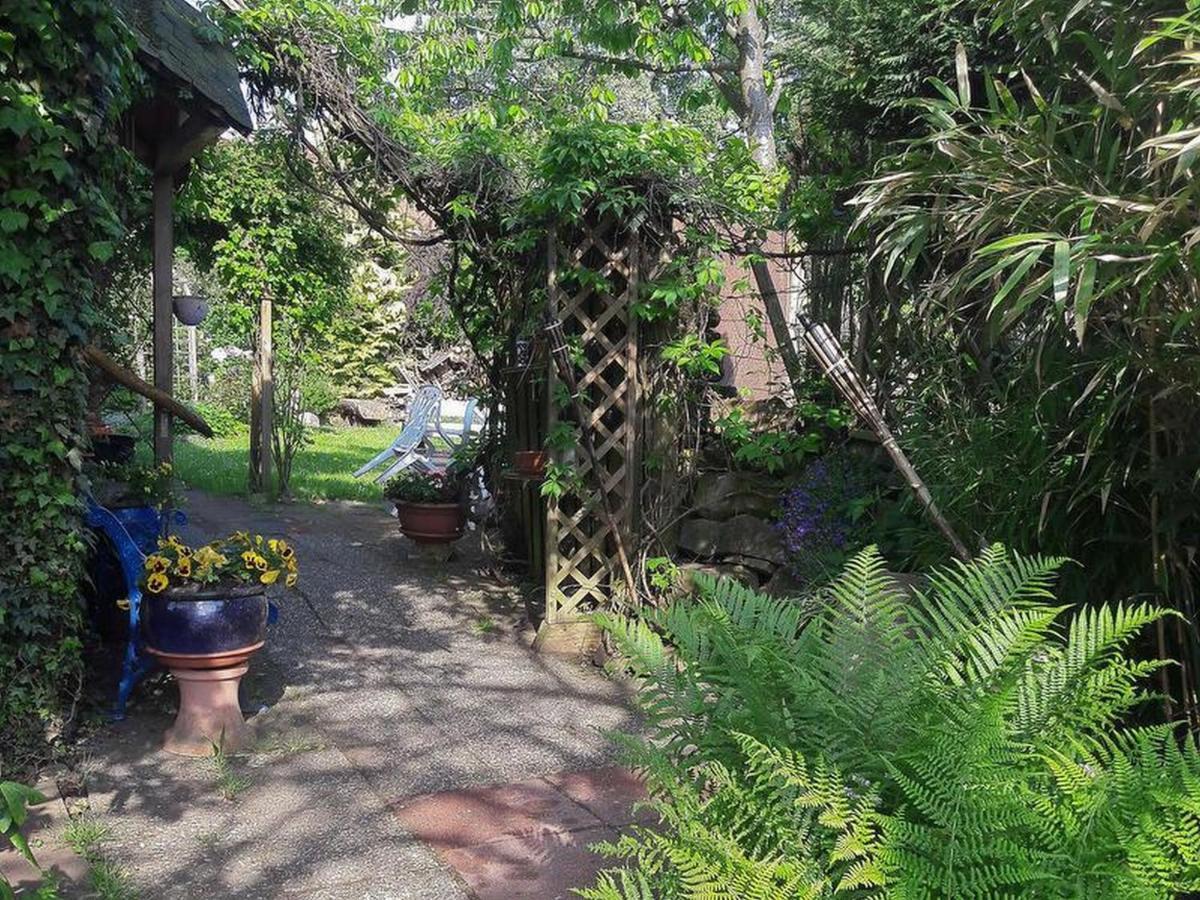 Haus Zur Bienenweide Apartment Schomberg Bagian luar foto